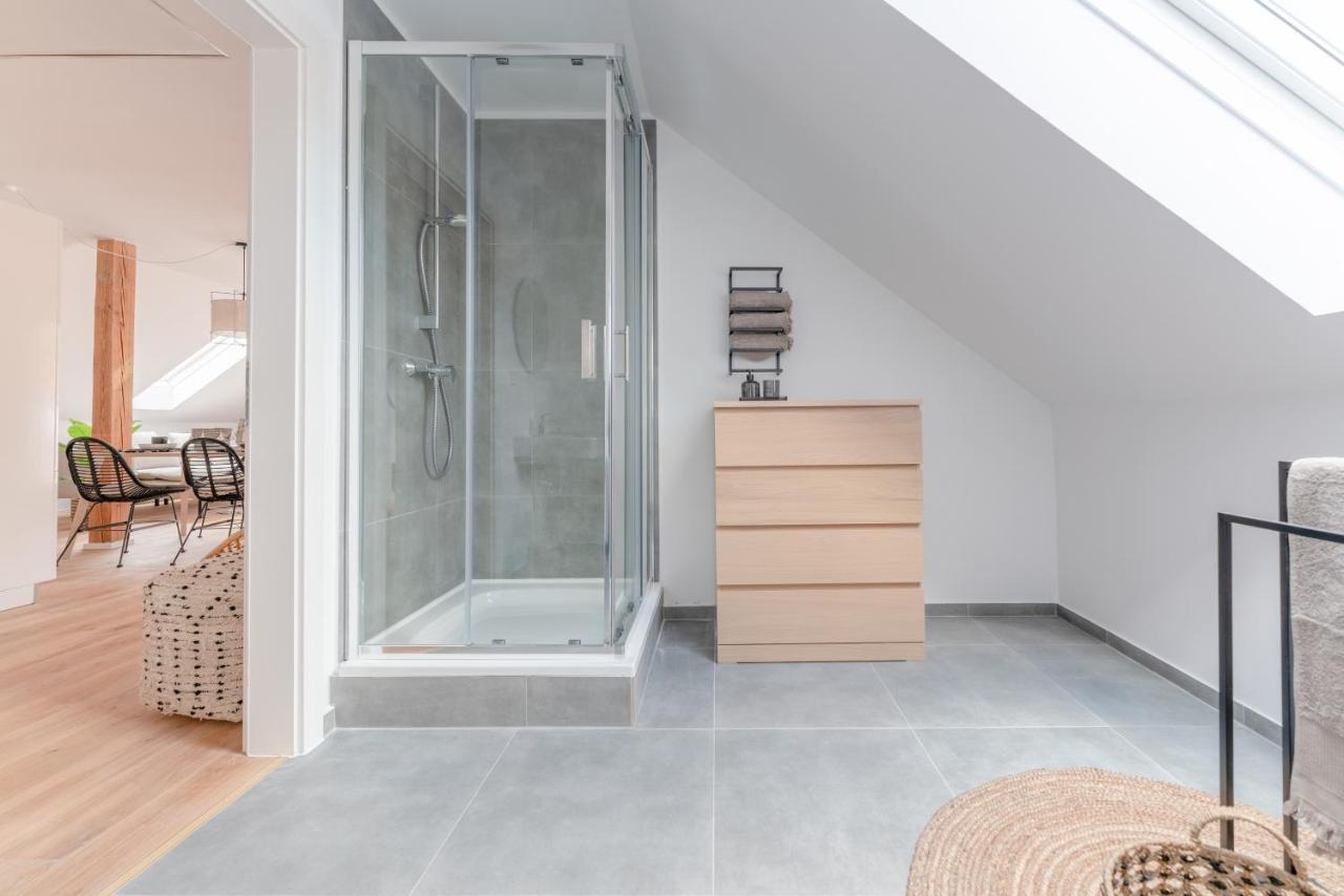 Dach.loft Spitz In Der Wachau Apartment Spitz an der Donau